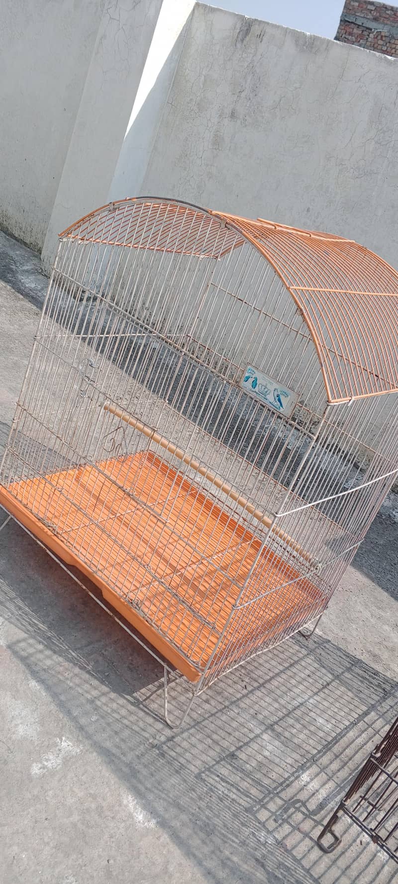 parrots cage 1
