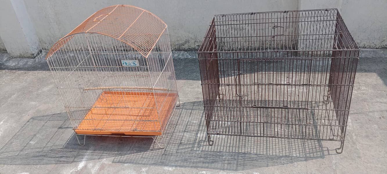 parrots cage 2