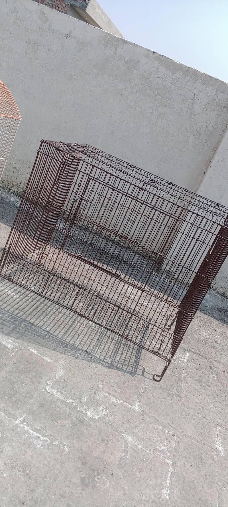 parrots cage 3
