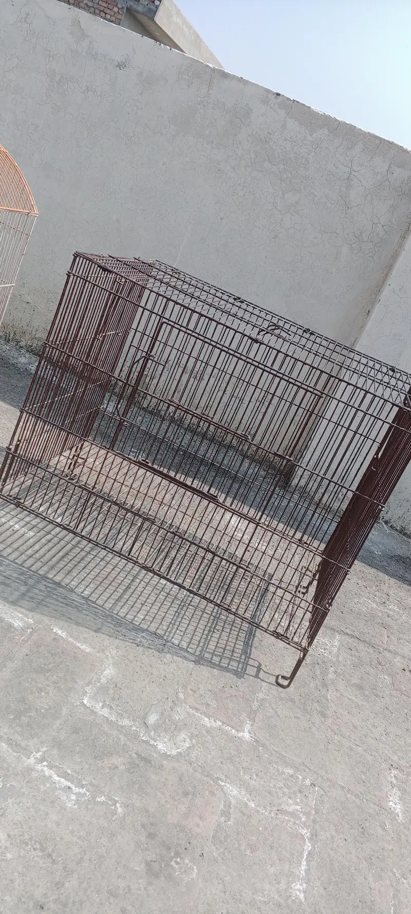 parrots cage — photo 4