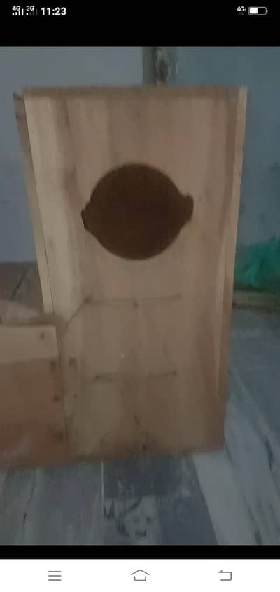 africn graay or raw pirots ka breeder boxc sale