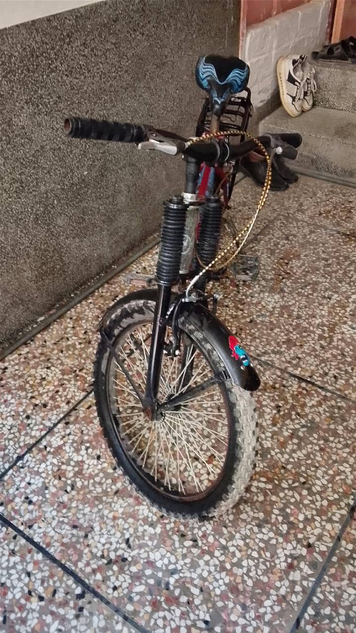 Chicago bicycle 1