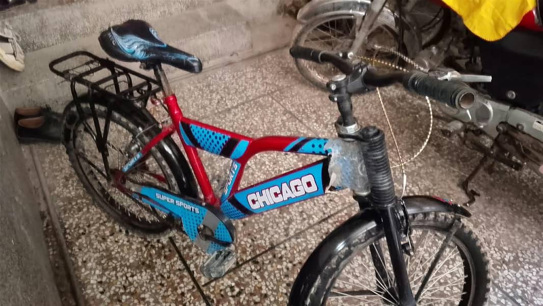 Chicago bicycle 2