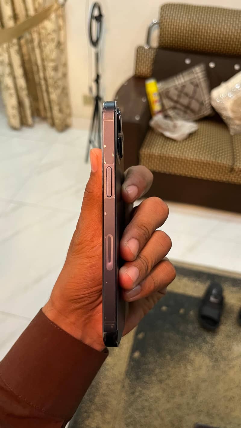 Apple iPhone 13 12