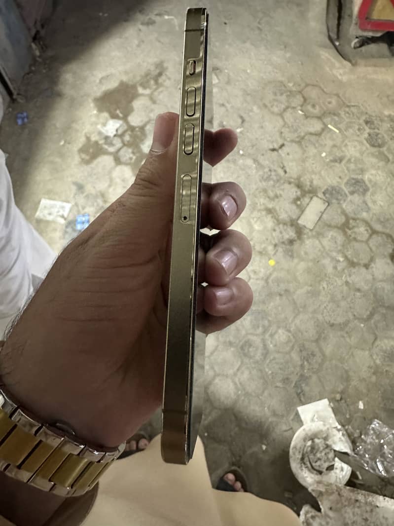 Apple iPhone 13 Pro Max 1
