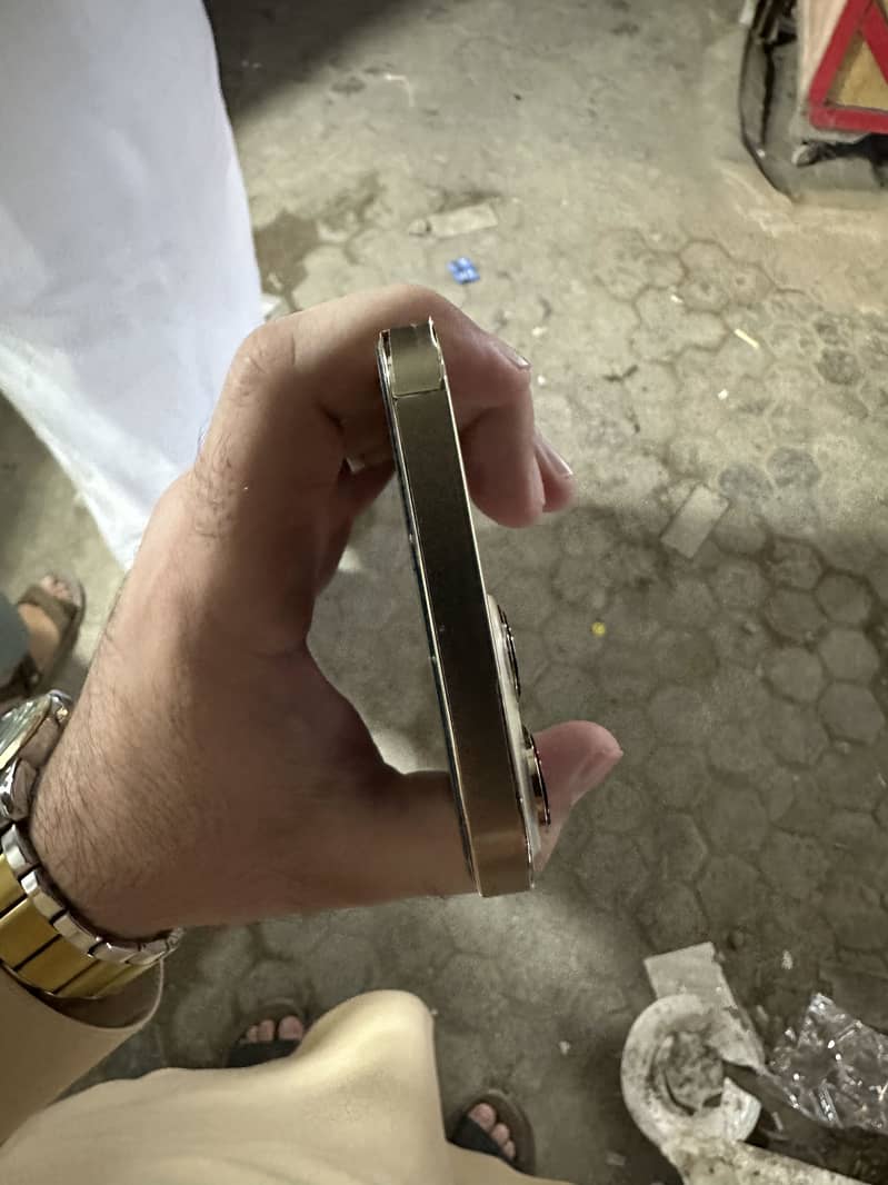 Apple iPhone 13 Pro Max 2