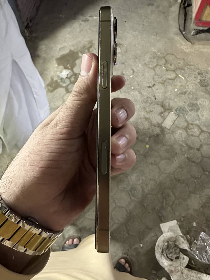 Apple iPhone 13 Pro Max 3