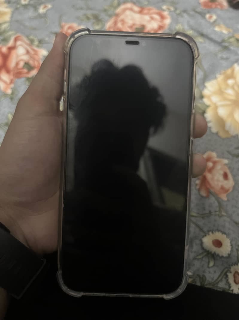Apple iPhone 12 Pro Max 6