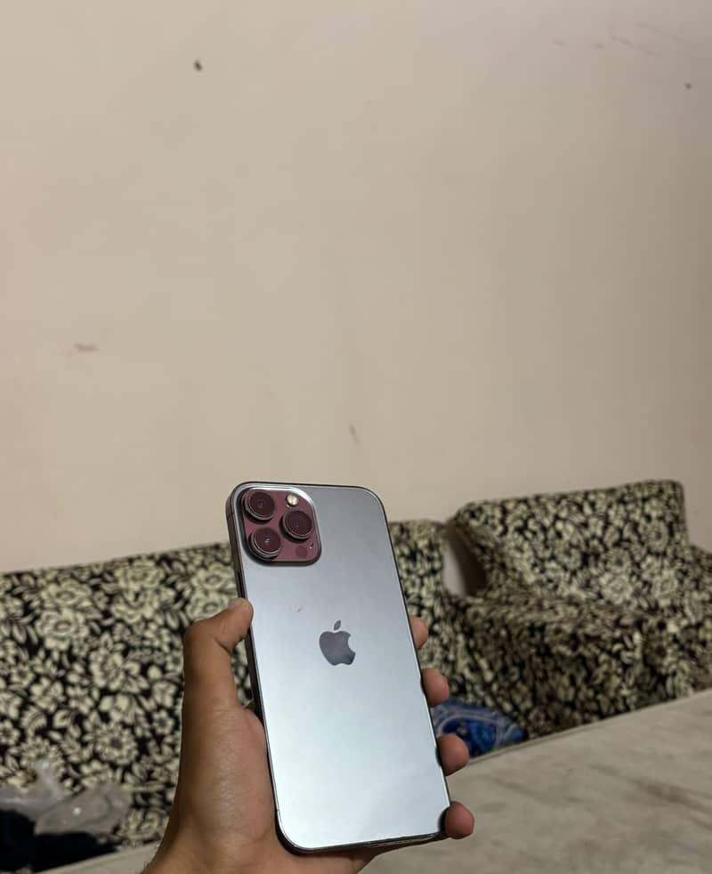 Apple iPhone 13 Pro Max 1