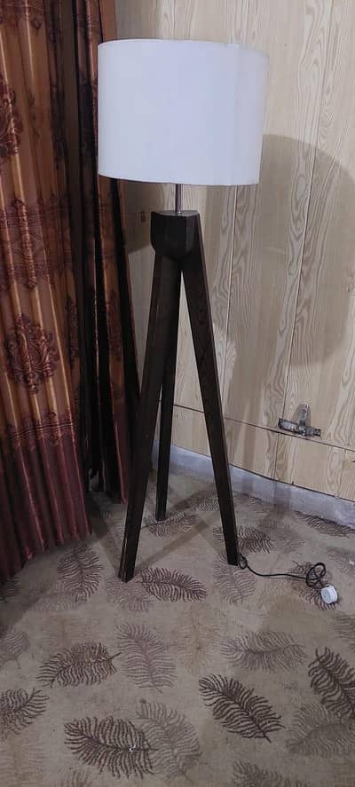 modern style floor lamp