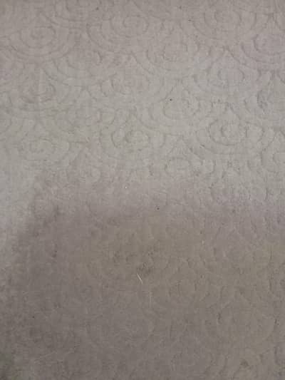 Free Carpets