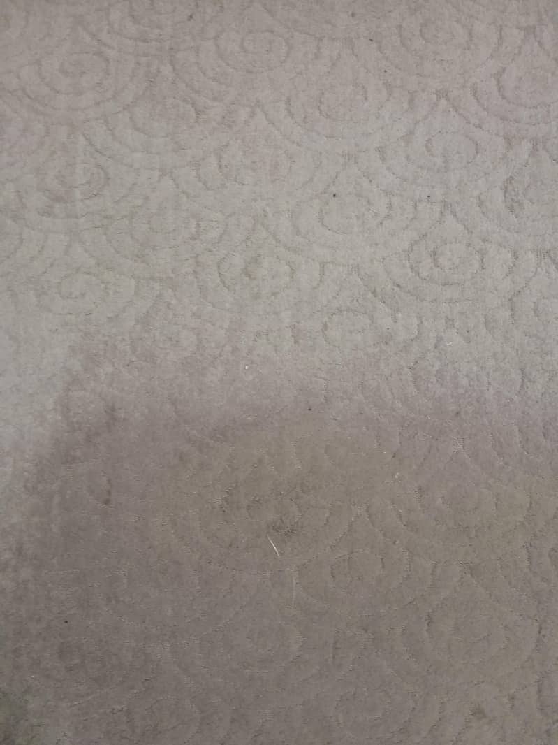 Free Carpets 0