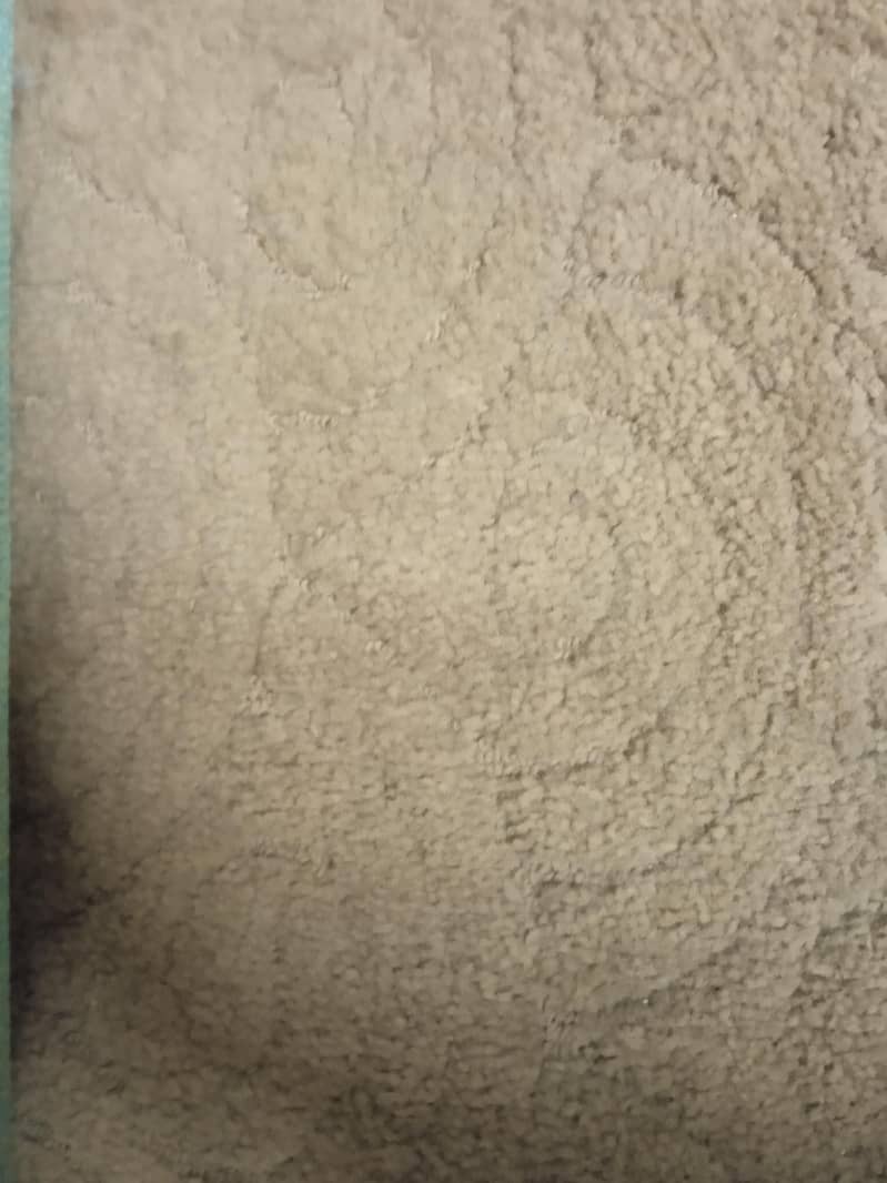 Free Carpets 1