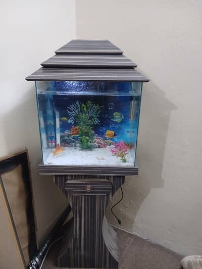 Fish Aquarium with 4 gold fish