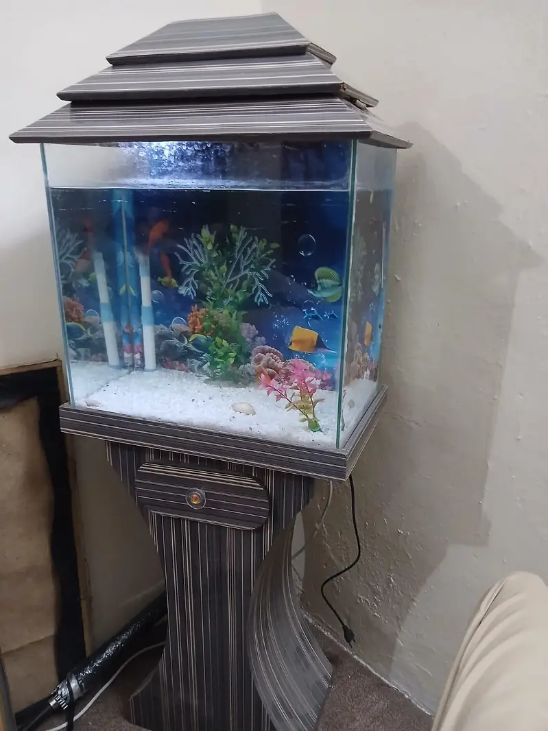 Fish Aquarium with 4 gold fish — photo 5