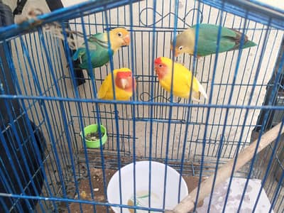 Available for sale everything is ok 03224270351