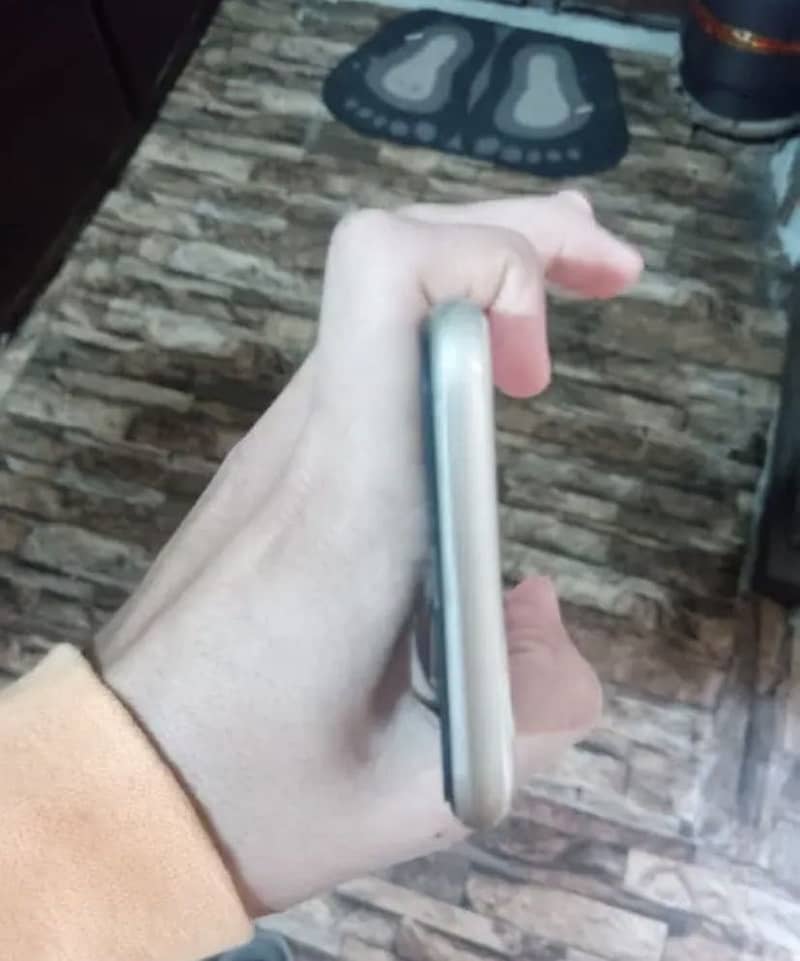 iPhone 11 waterpack 2