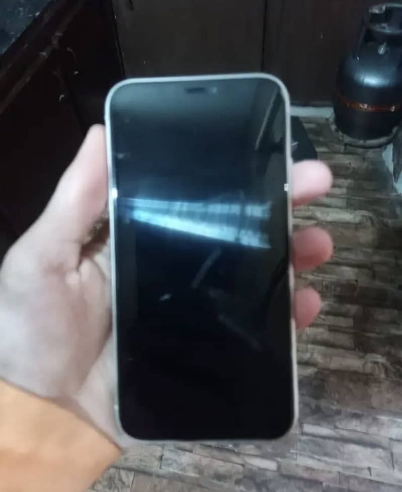 iPhone 11 waterpack 4