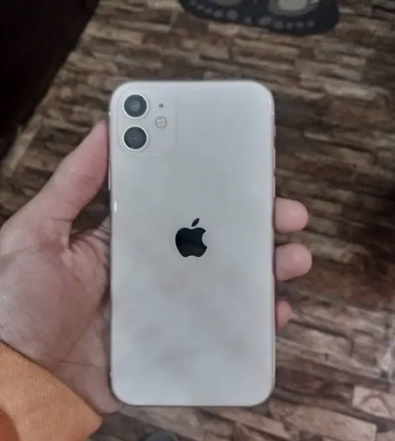 iPhone 11 waterpack 5