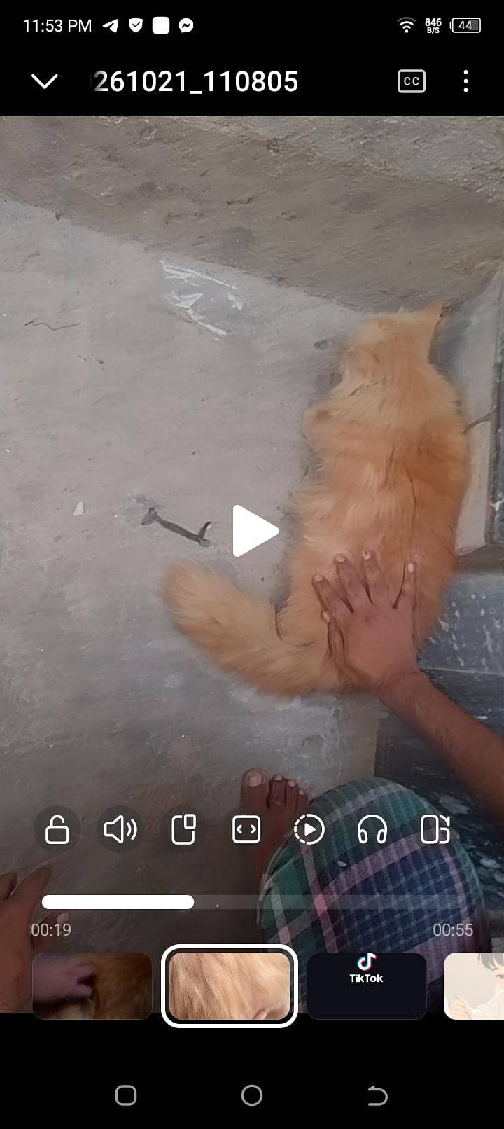 punch face long cort 2