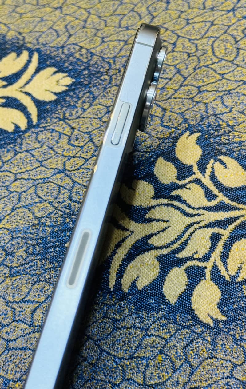 Apple iPhone 13 Pro Max 0