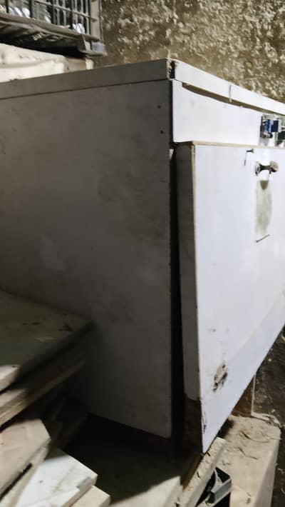 eighty eggs encovatr for sale