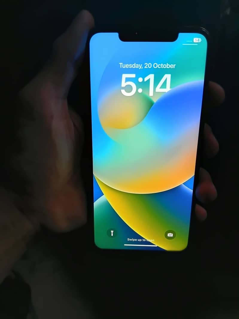 Apple iPhone XSMax with RareCover 0