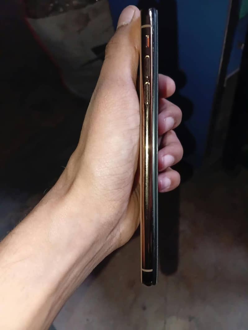 Apple iPhone XSMax with RareCover 1