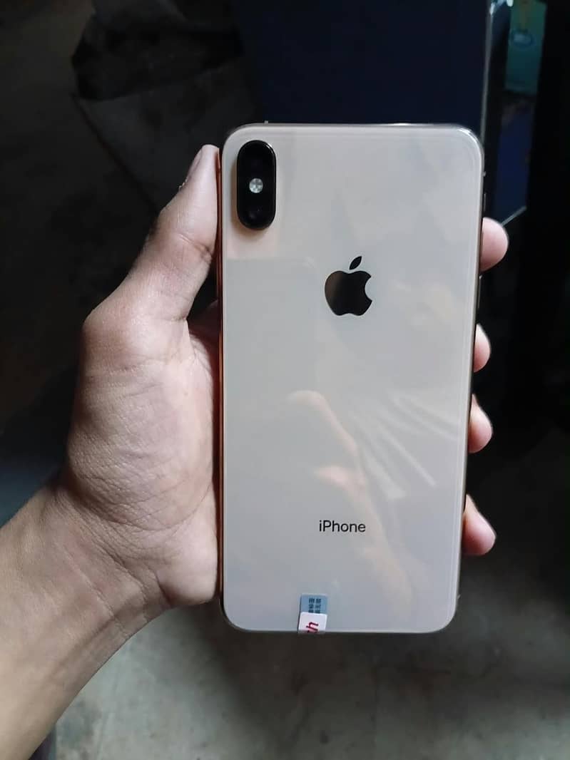 Apple iPhone XSMax with RareCover 2