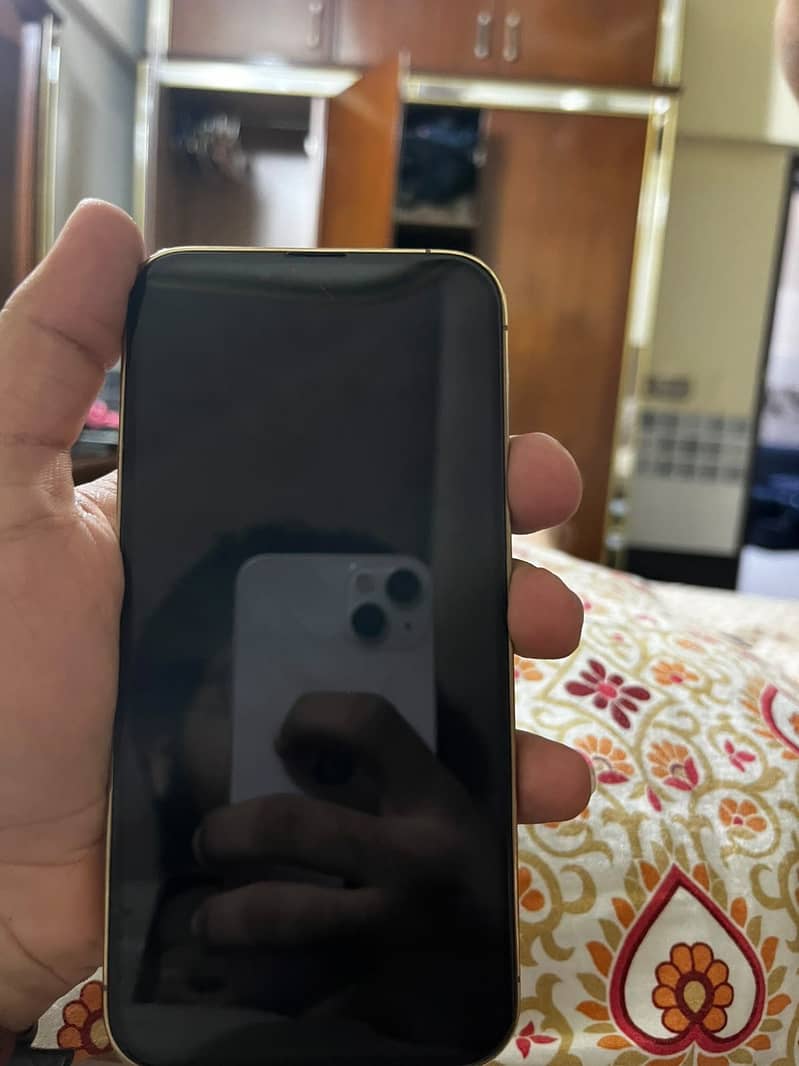 Apple iPhone 13 Pro 6