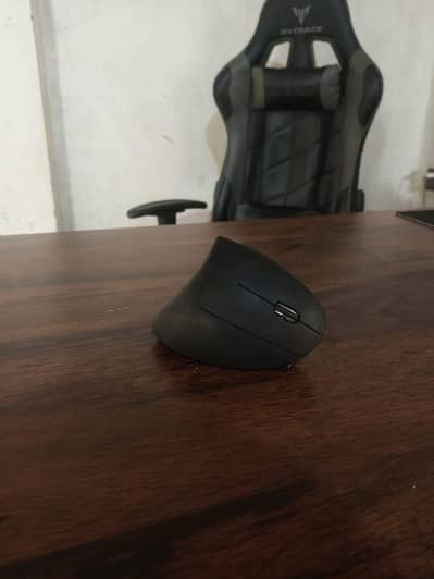 Omexa Vertical Ergonomic Wireless Mouse Rechargeable