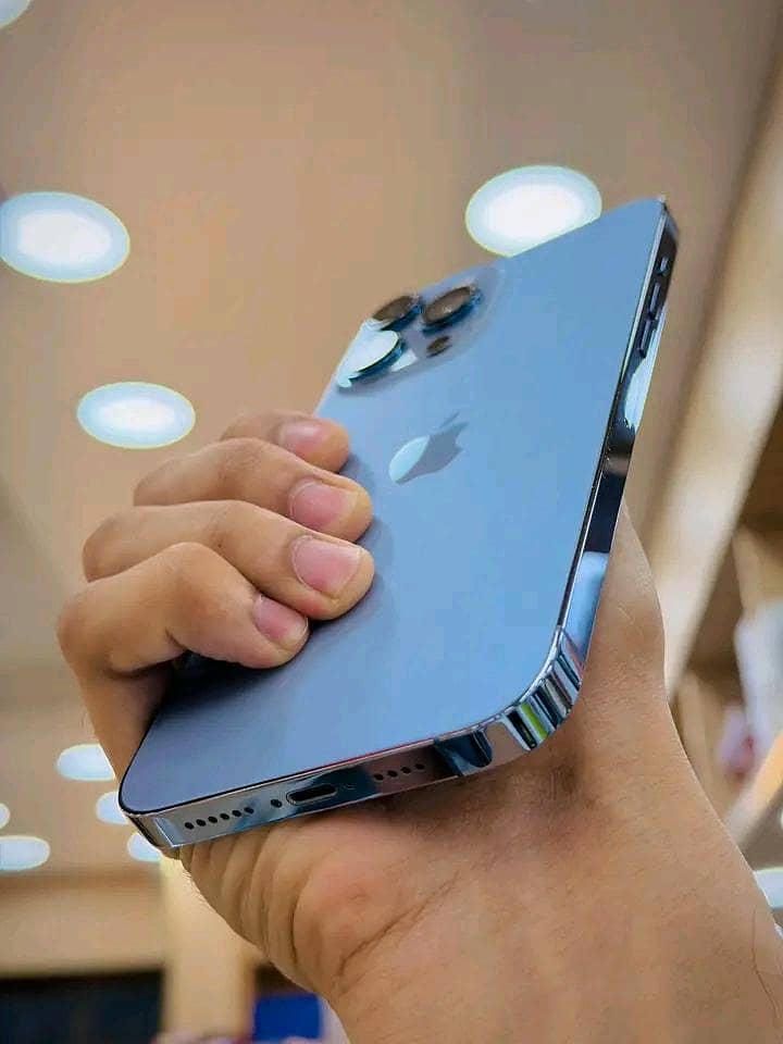 Apple iPhone 13 Pro Max 1