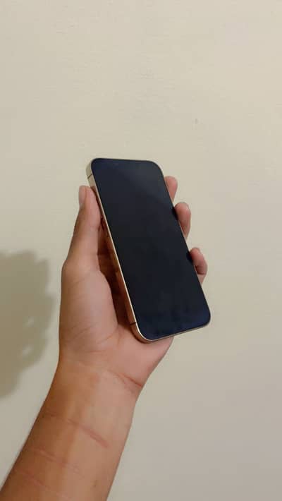 Apple iPhone 13 Pro