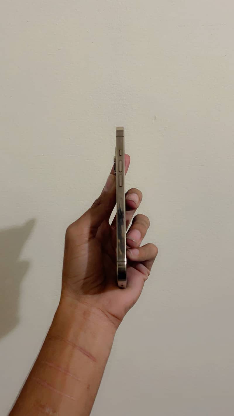 Apple iPhone 13 Pro 4