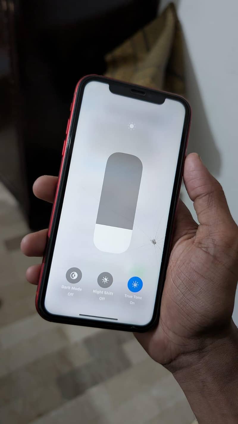 Apple iPhone XR 1