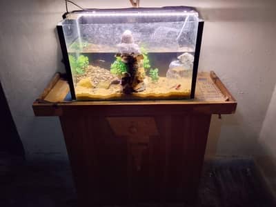 equarium and fishes with all accessories