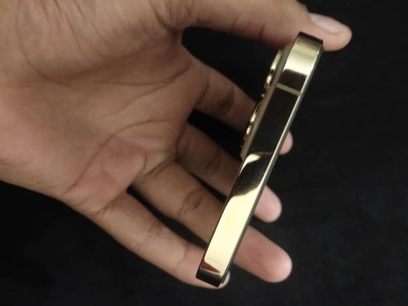 Apple iPhone 13 Pro Max 5