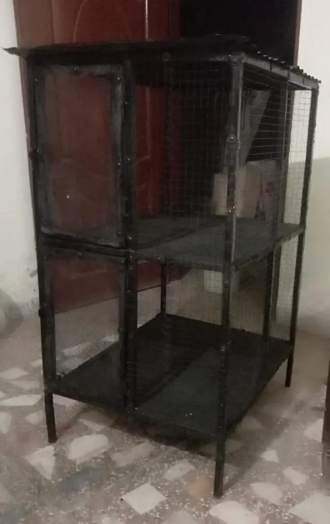 Hen cage for sale 03195793061 — photo 2