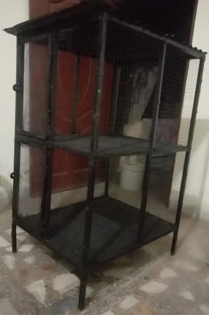 Hen cage for sale 03195793061 — photo 3