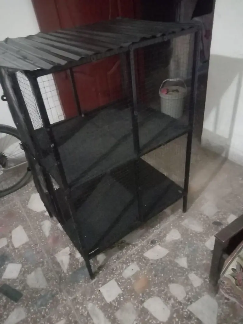 Hen cage for sale 03195793061 — photo 5