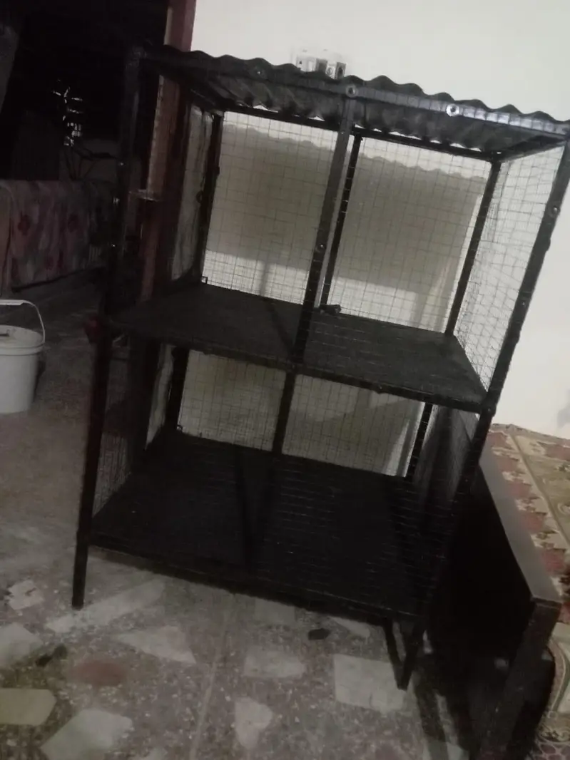 Hen cage for sale 03195793061 — photo 6
