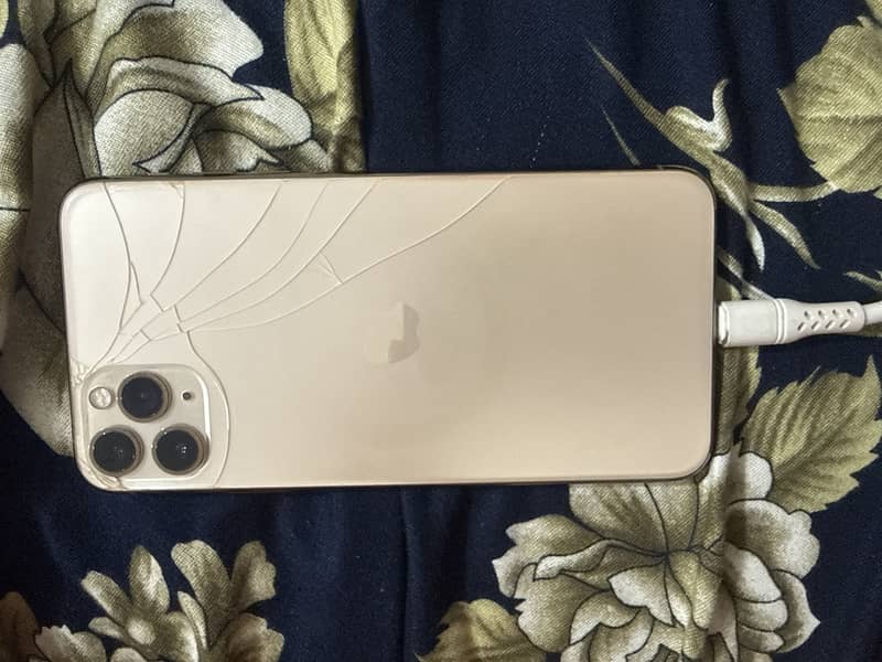 Apple iPhone 11 Pro Max 1