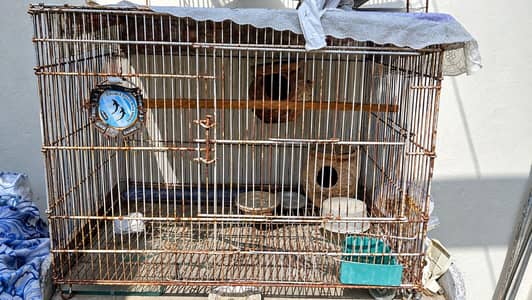 bird cage