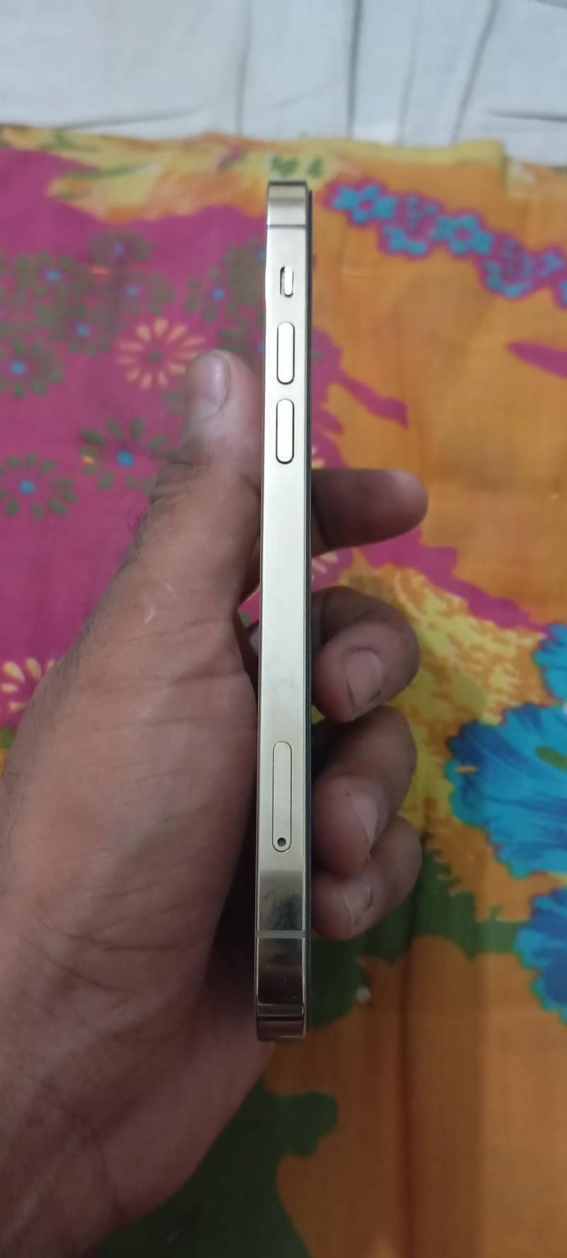 iPhone 12 Pro 5