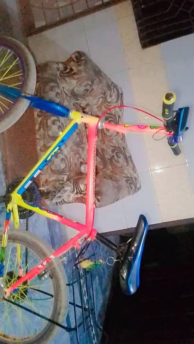 new cycle