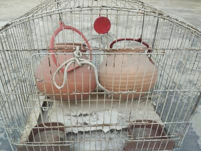 Budgie / Parrot Bird Cage with 2 Breeding Pots – Complete Setup
