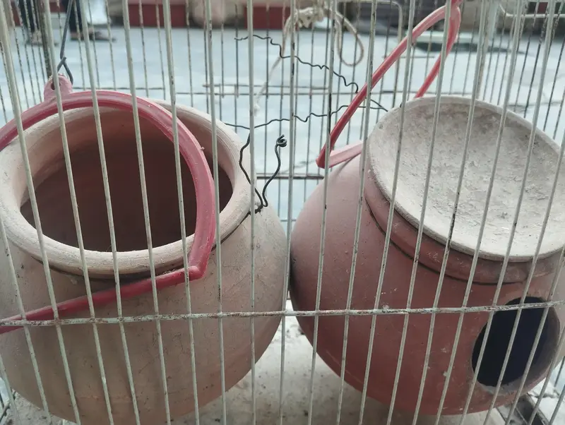 Budgie / Parrot Bird Cage with 2 Breeding Pots – Complete Setup — photo 2
