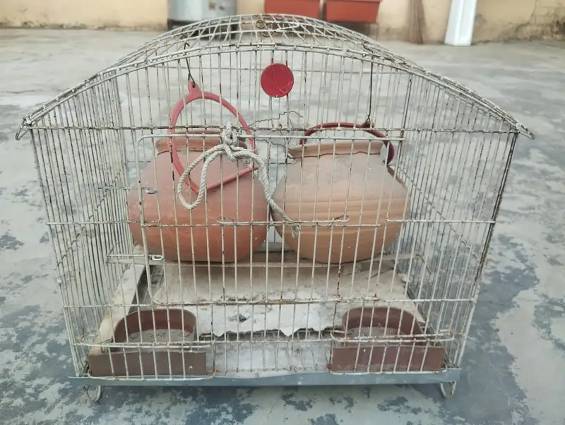 Budgie / Parrot Bird Cage with 2 Breeding Pots – Complete Setup — photo 3