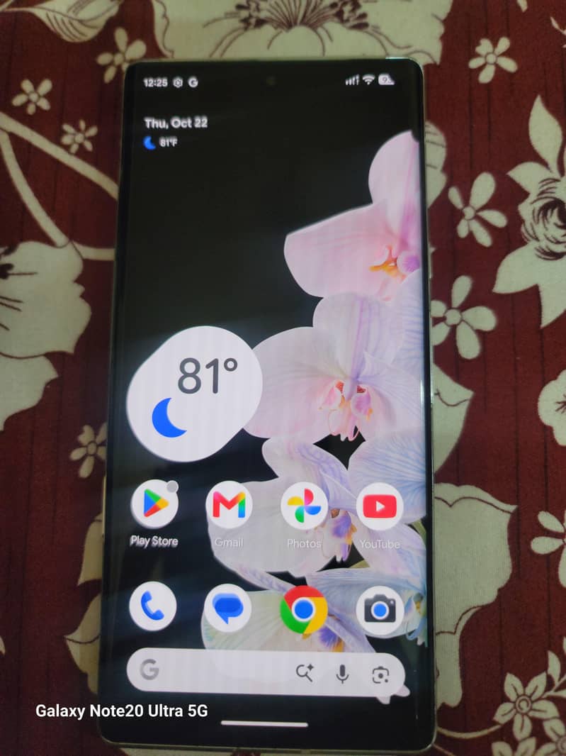 Google Pixel 6 Pro 2