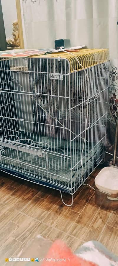 cage for sale